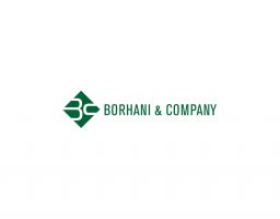 Logo Borhani